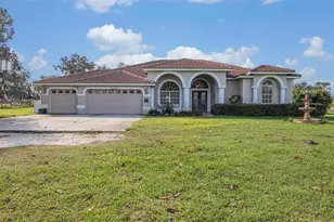 331 Lewis Rd, Lithia, FL 33547 - Photo 4