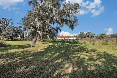 331 Lewis Road, Lithia, FL 33547 - Photo 50