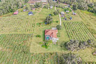 331 Lewis Rd, Lithia, FL 33547 - Photo 68