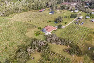 331 Lewis Rd, Lithia, FL 33547 - Photo 68