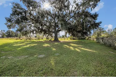 331 Lewis Road, Lithia, FL 33547 - Photo 58