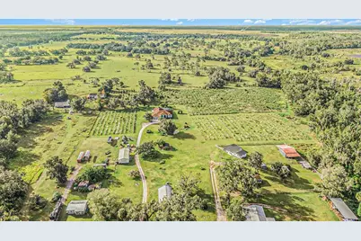 331 Lewis Road, Lithia, FL 33547 - Photo 70