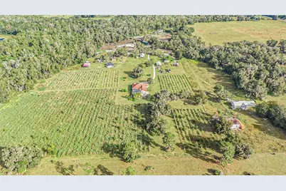 331 Lewis Road, Lithia, FL 33547 - Photo 72