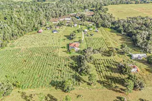 331 Lewis Rd, Lithia, FL 33547 - Photo 72