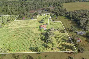 331 Lewis Rd, Lithia, FL 33547 - Photo 74