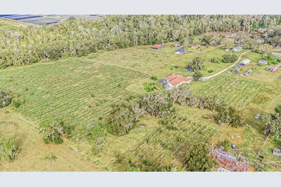 331 Lewis Road, Lithia, FL 33547 - Photo 74