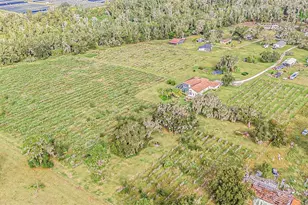 331 Lewis Rd, Lithia, FL 33547 - Photo 74