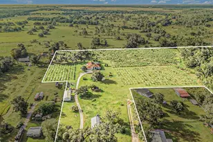 331 Lewis Rd, Lithia, FL 33547 - Photo 78