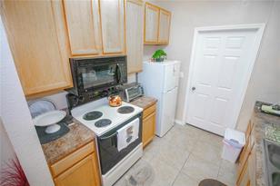 9918 Courtney Palms Blvd - Photo 14