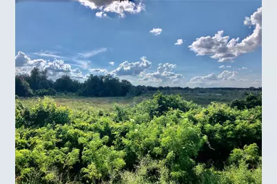 W Lake Yale Road, Umatilla, FL 32784 - Photo 4