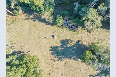 Boy Scout Road, Odessa, FL 33556 - Photo 18