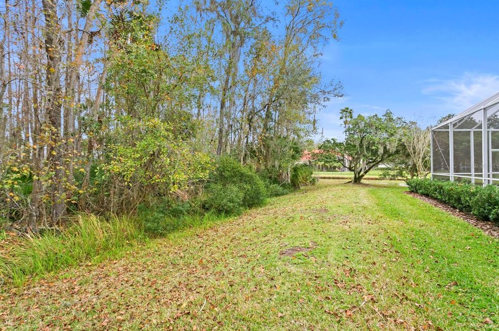 16347 Heathrow Dr, Tampa FL 33647-2641 exterior