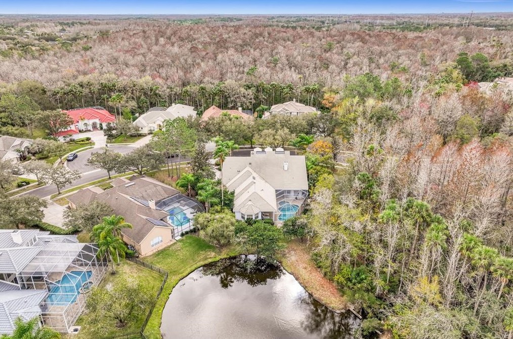 16347 Heathrow Dr, Tampa FL 33647-2641 exterior