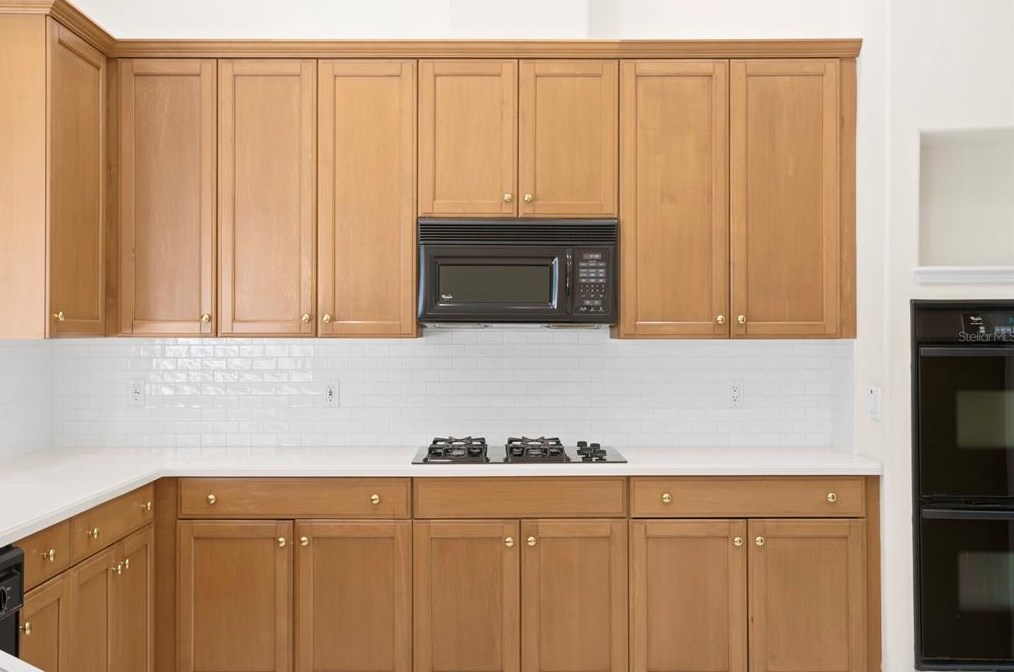 16347 Heathrow Dr, Tampa FL 33647-2641 exterior