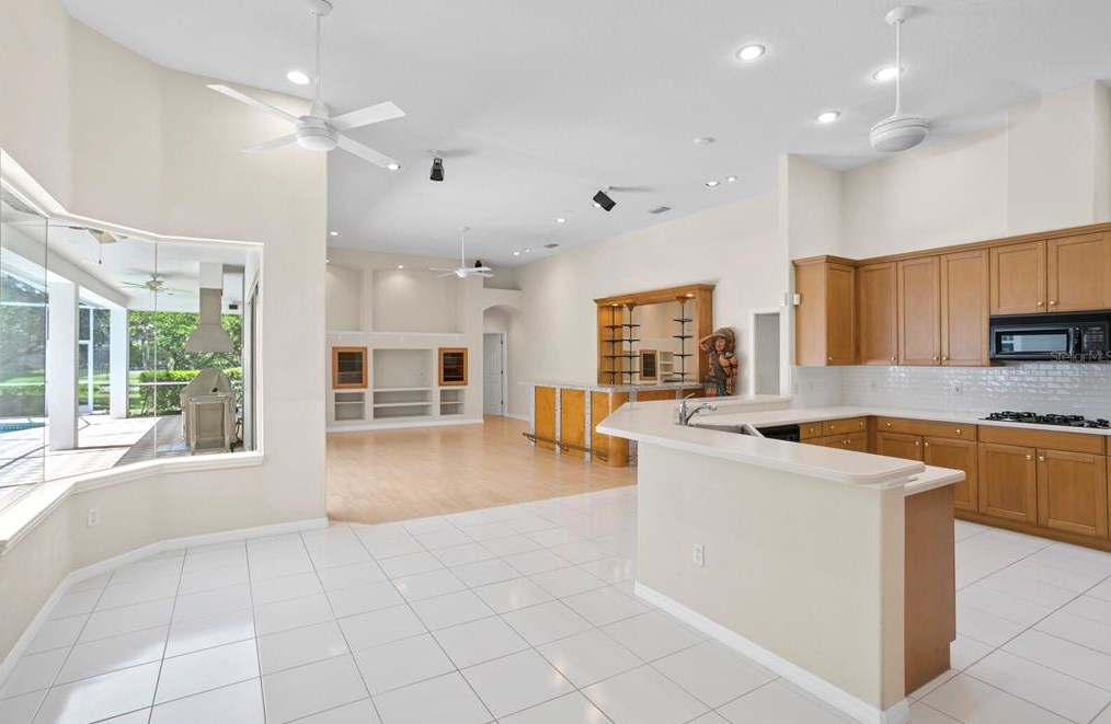 16347 Heathrow Dr, Tampa FL 33647-2641 exterior