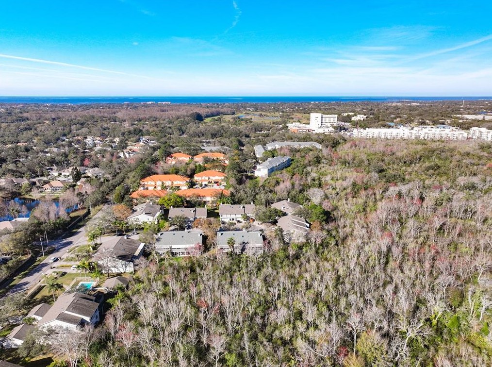 109 Kathleen Ct, Tarpon Springs FL  34689-4607 exterior