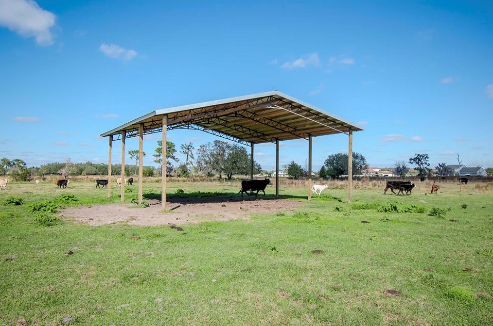 12011 Browning Rd, Lithia FL 33547-2850 exterior