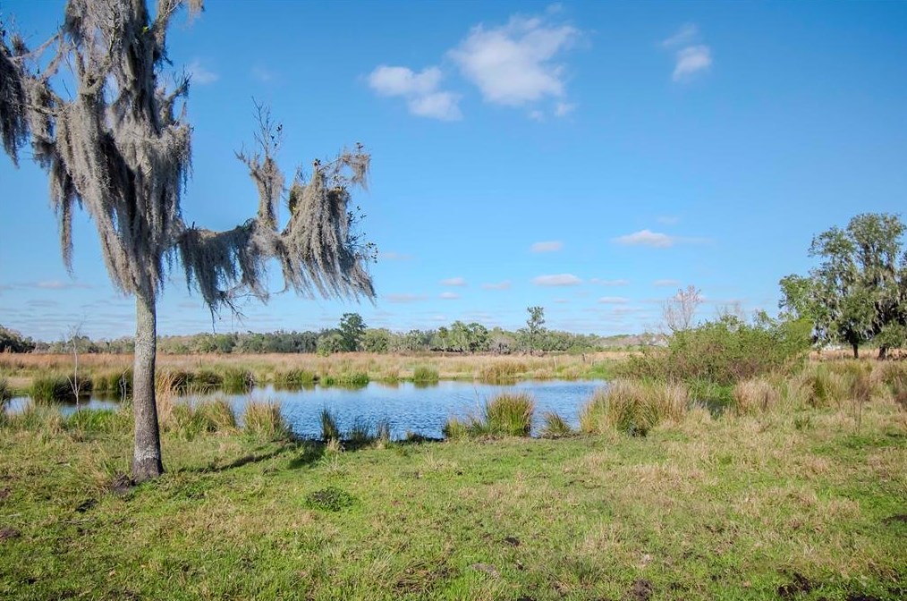 12011 Browning Rd, Lithia FL 33547-2850 exterior