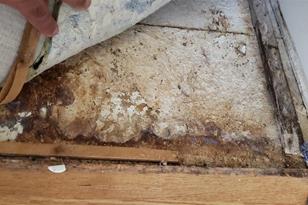 4909 Larkenheath Dr, Spring Hill, FL 34609 - Photo 4