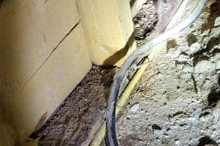 4909 Larkenheath Dr, Spring Hill, FL 34609 - Photo 6