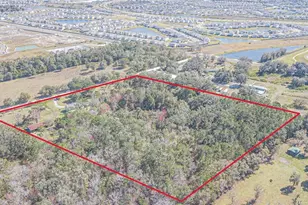 8529 Kenton Rd, Wesley Chapel, FL 33545 - Photo 44