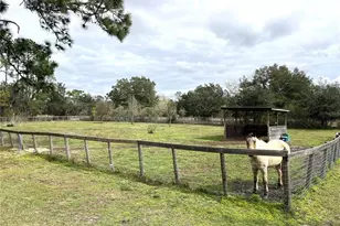 8529 Kenton Rd, Wesley Chapel, FL 33545 - Photo 24