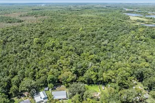 8952 W White Dogwood Dr, Homosassa, FL 34448 - Photo 42