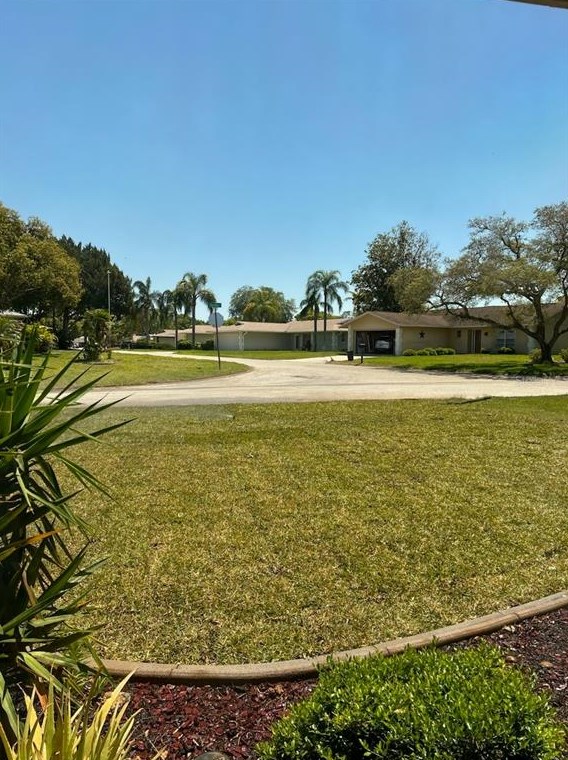 10911 Hachita Dr, Port Richey, FL 34668
