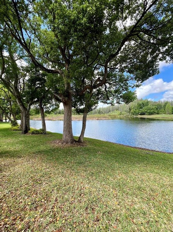 2117 Park Crescent Dr, Land O Lakes FL  34639-5469 exterior