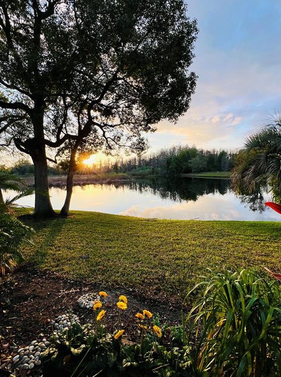 2117 Park Crescent Dr, Land O Lakes FL  34639-5469 exterior