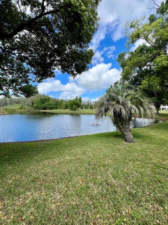 2117 Park Crescent Dr, Land O Lakes FL  34639-5469 exterior