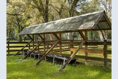 10820 SW 31st Way, Webster, FL 33597 - Photo 8