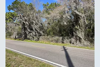 30651 Elam Road, Wesley Chapel, FL 33545 - Photo 8