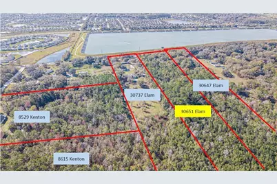 30651 Elam Road, Wesley Chapel, FL 33545 - Photo 6