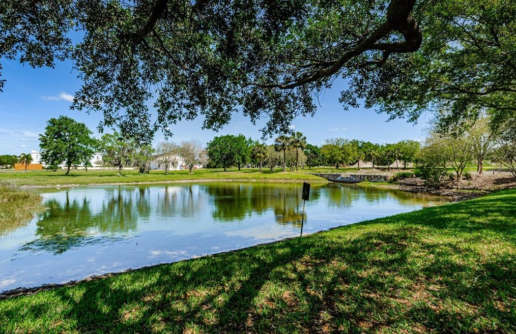11327 Emerson Lake Dr, Riverview FL  33578-4282 exterior