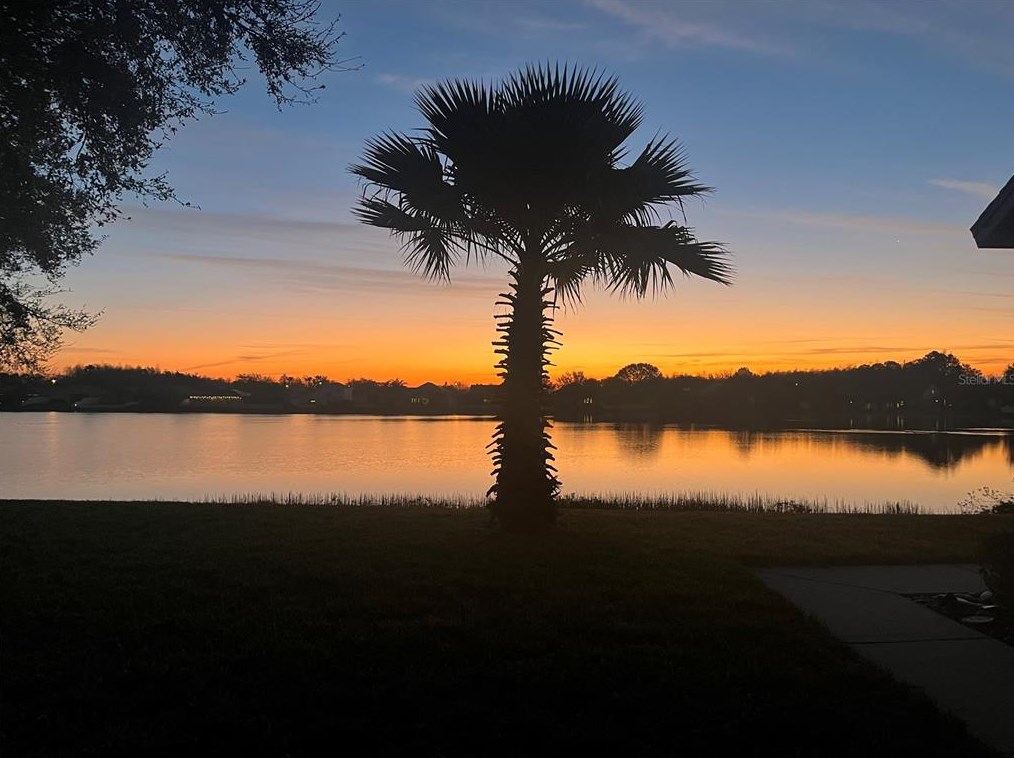 2652 Musky Mint Dr, Land O Lakes, FL 34638-7225