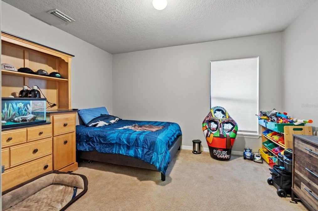 14340 Haddon Mist Dr, Wimauma FL  33598 exterior