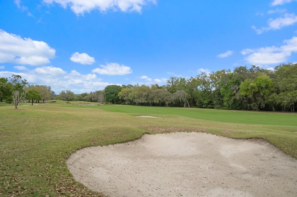 12748 Grand Traverse Dr, Dade City FL 33525-8251 exterior