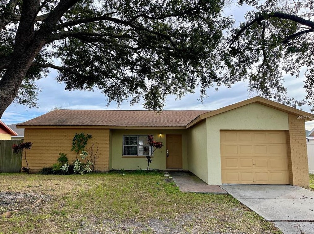 905 Old Field Dr, Brandon, FL 33511