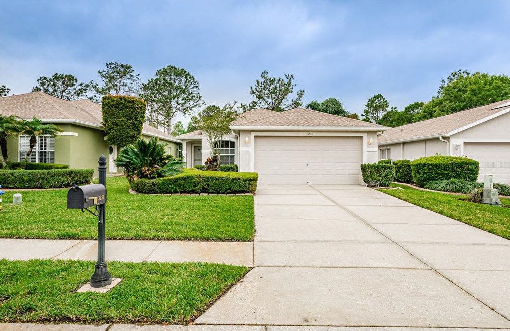 3231 Banyan Hill Ln, Land O Lakes, FL 34639-6744