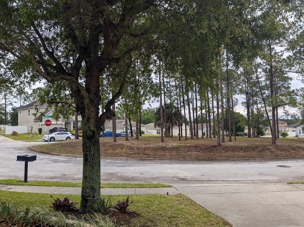 1011 Susan Dr, Lake Wales, FL 33853-2757