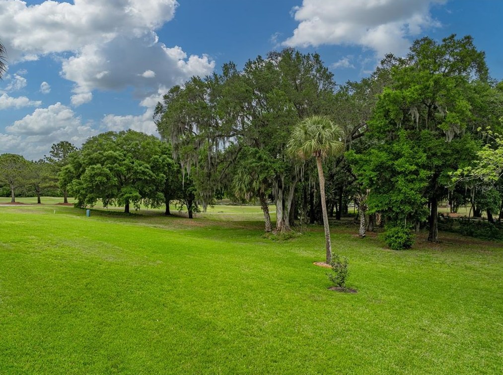 13551 Carnoustie Cir, Dade City FL 33525-2707 exterior