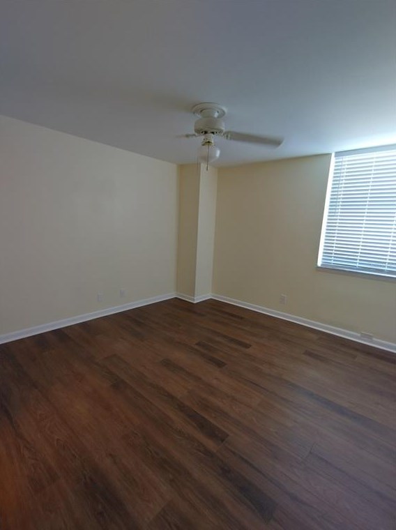 4015 Bayshore Blvd, Tampa FL  33611-1704 exterior