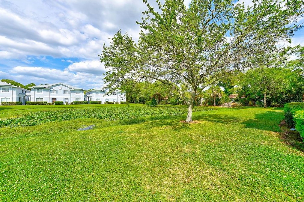 4120 Gradstone Pl, Tampa FL  33617-7370 exterior