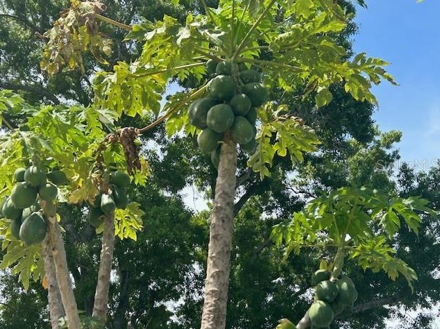 2206 Cornell Dr, Riverview FL  33578-4233 exterior