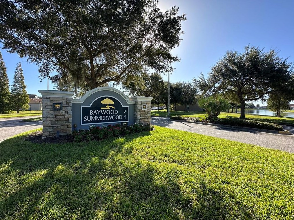 7029 White Treetop Pl, Riverview, FL 33578