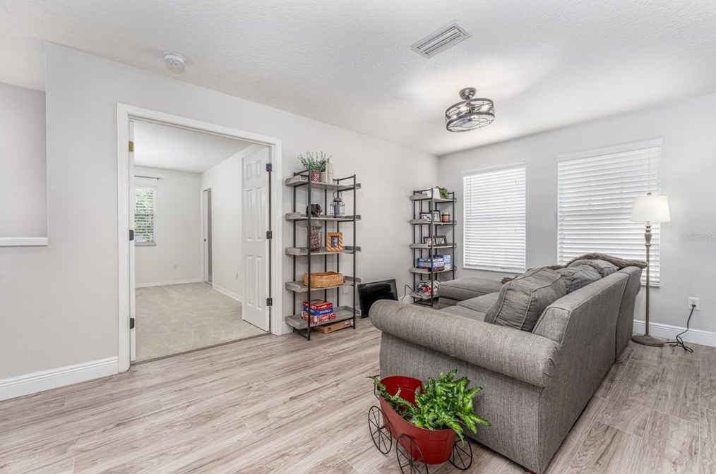 16133 Loneoak Vw Dr, Lithia FL  33547-4895 exterior