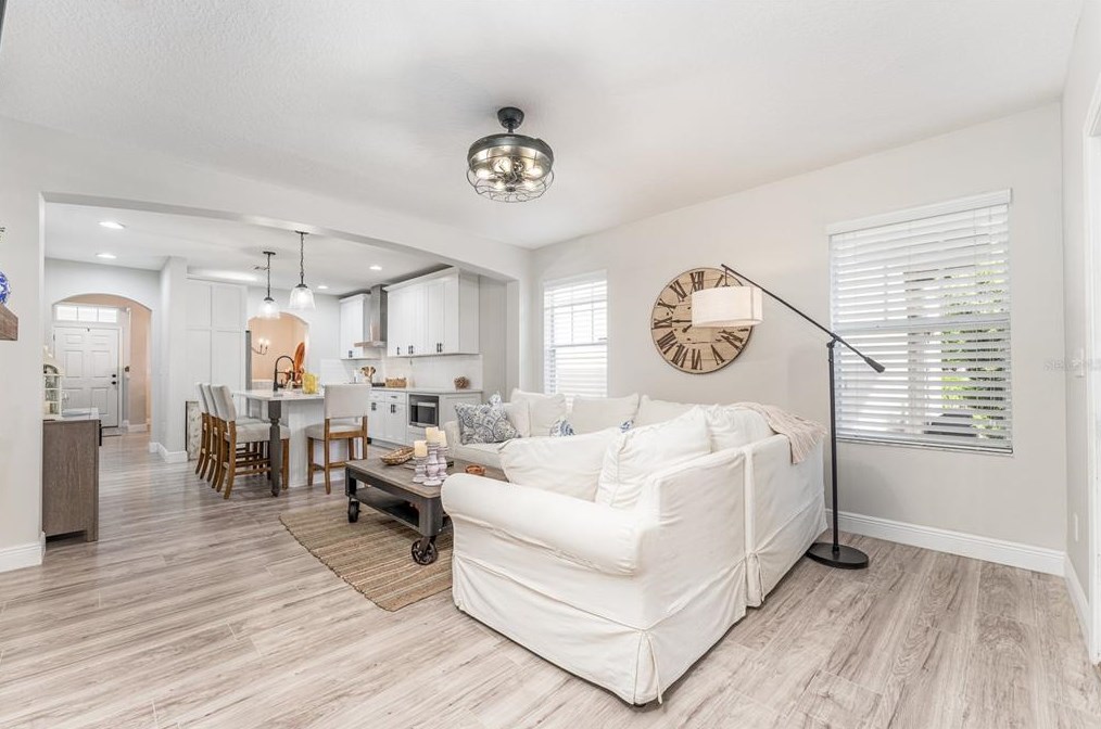 16133 Loneoak Vw Dr, Lithia FL  33547-4895 exterior