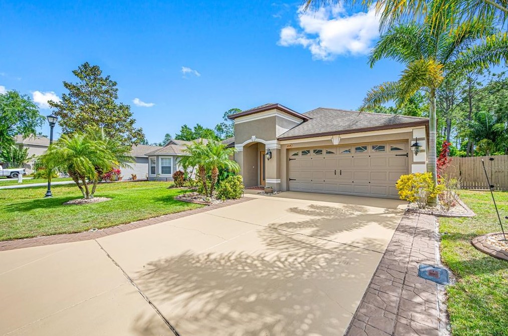 12226 Southbridge Ter, Port Richey, FL 34669-5013