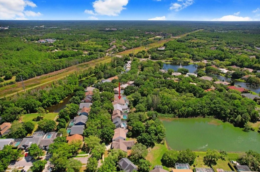 4943 Ebensburg Dr, Tampa FL  33647-1383 exterior